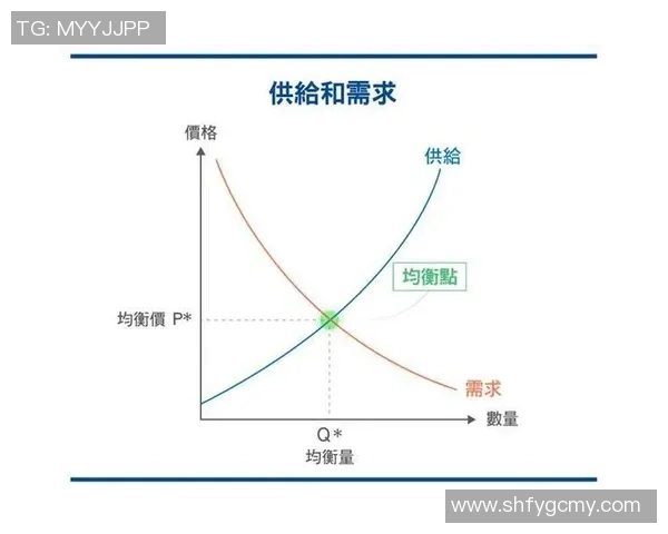 西安篮球队战术解析：从进攻到防守的全面剖析与展望