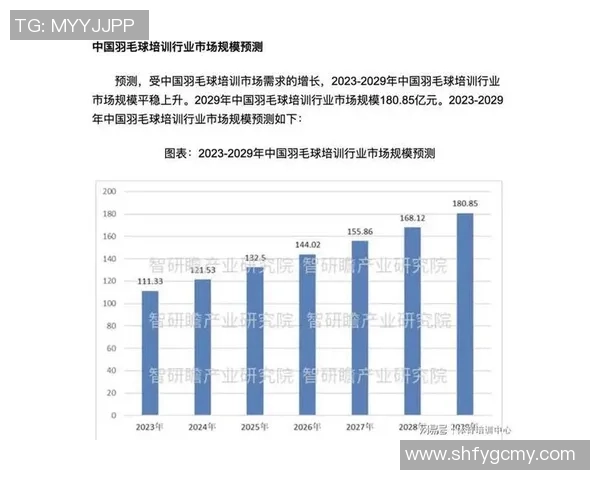 广州羽毛球队近期状态深度对比分析及未来发展趋势探讨