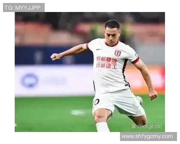 成都羽毛球队在世界锦标赛中的团队协作表现分析与点评