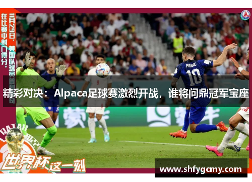 精彩对决：Alpaca足球赛激烈开战，谁将问鼎冠军宝座