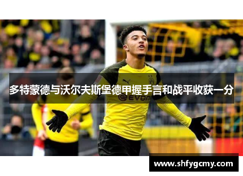 多特蒙德与沃尔夫斯堡德甲握手言和战平收获一分
