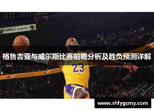 格鲁吉亚与威尔斯比赛前瞻分析及胜负预测详解